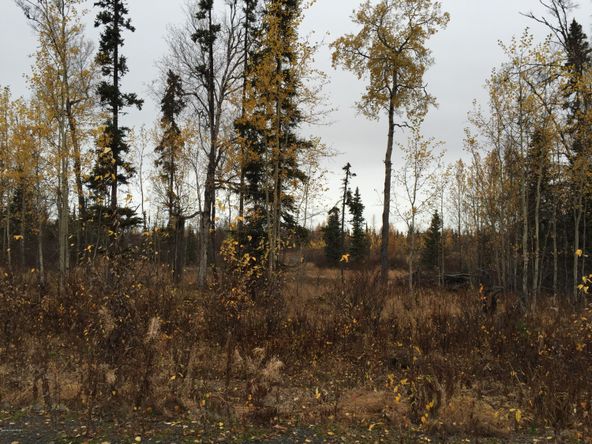 63760 Tailwind Rd, Ninilchik, AK 99639
